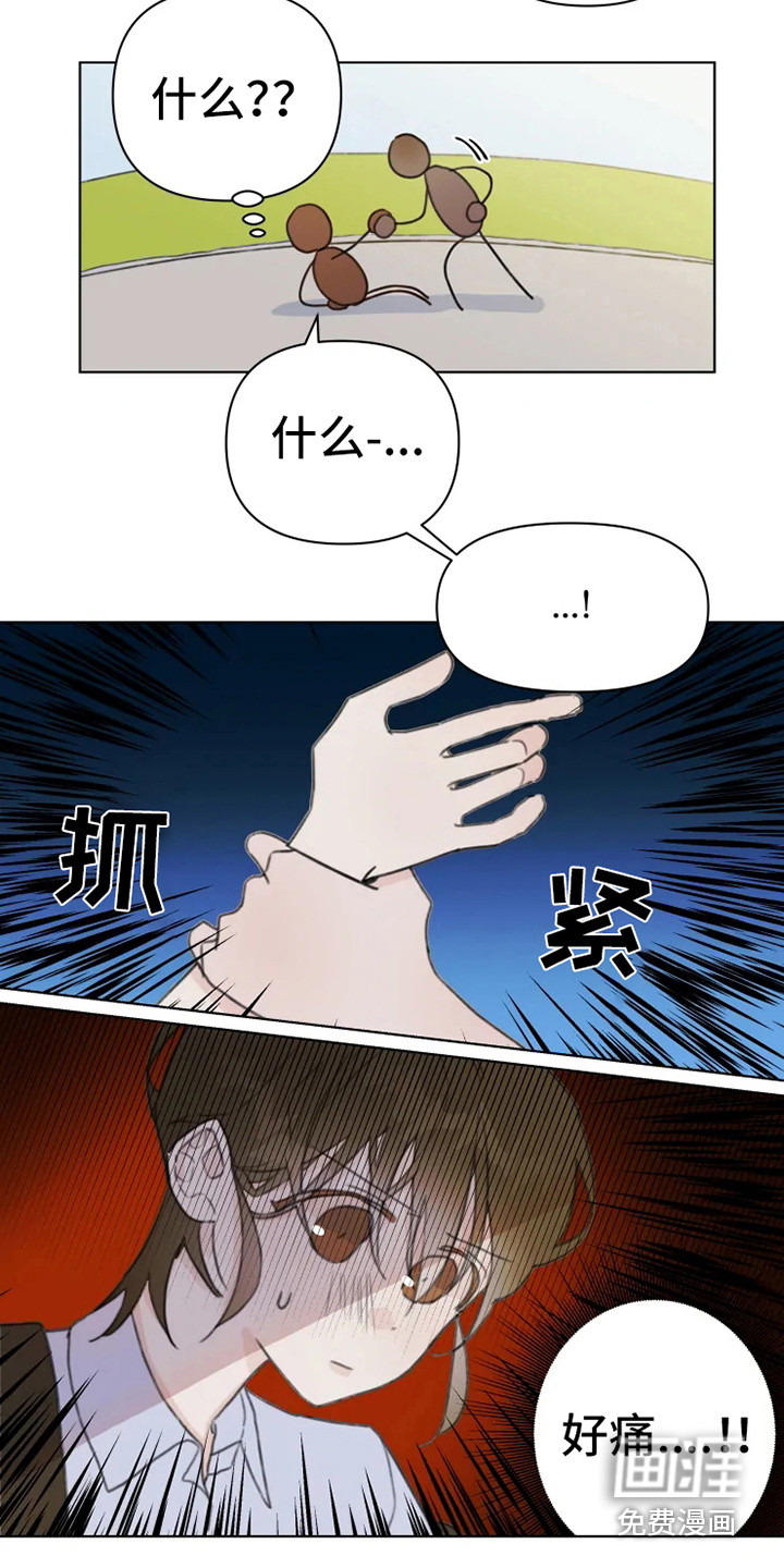 浪漫的青春 第11话 第4页