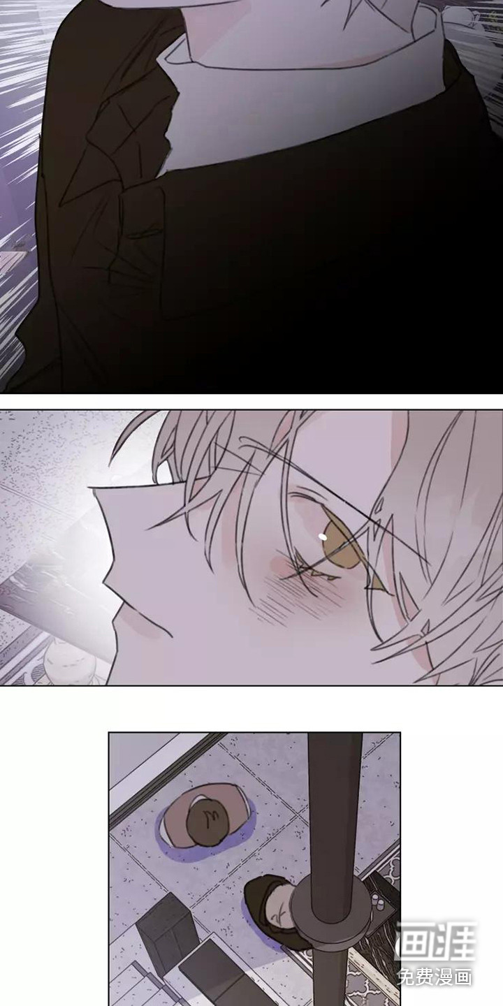 浪漫的青春 第14话 第17页