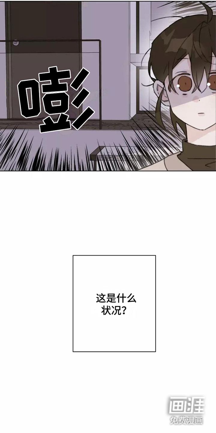 浪漫的青春第14话图