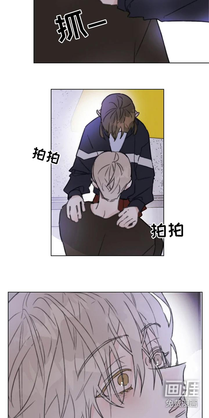 浪漫的青春 第17话 第13页