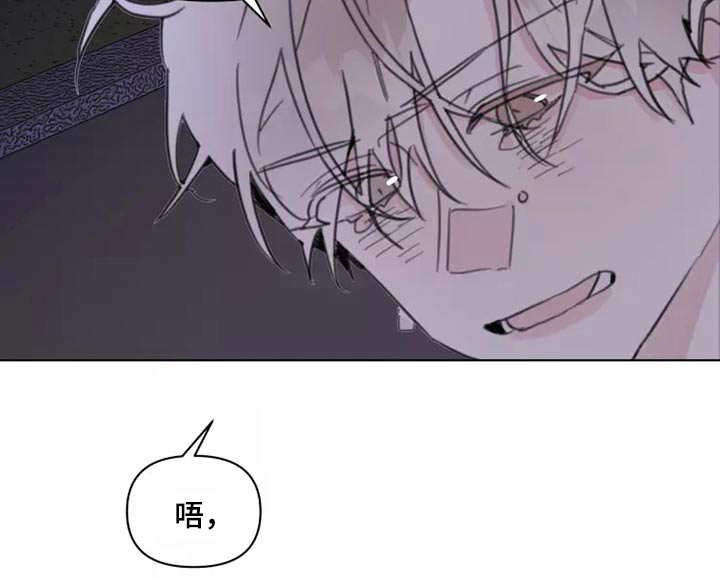 浪漫的青春 第23话 第14页