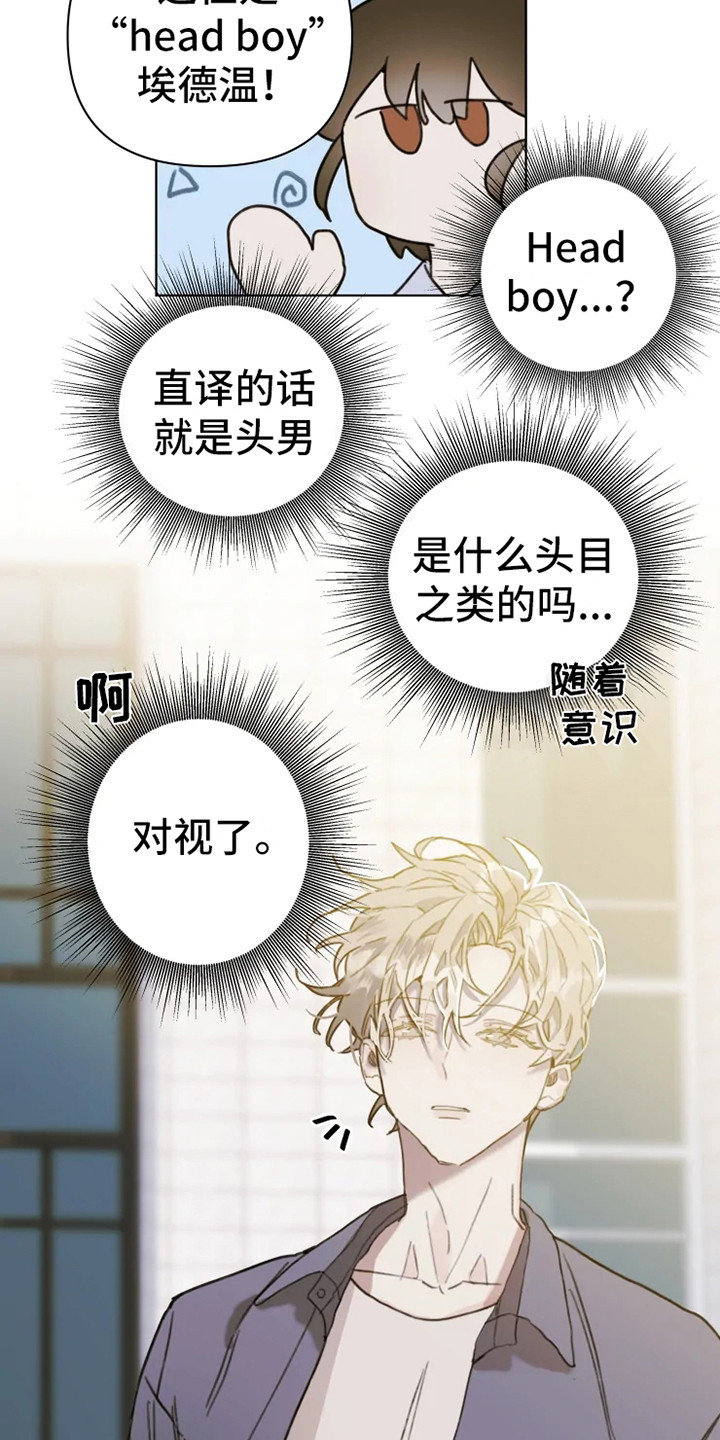 浪漫的青春 第3话 第14页