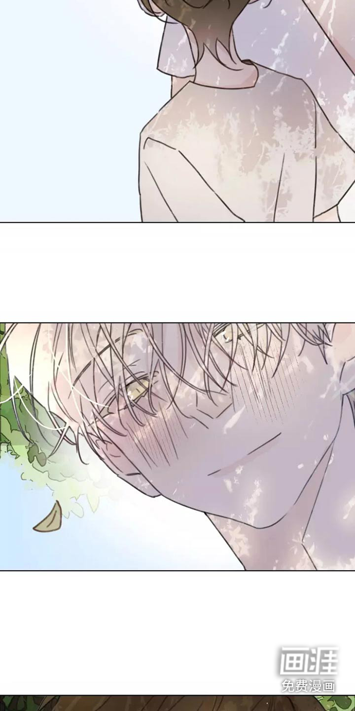 浪漫的青春 第33话 第13页