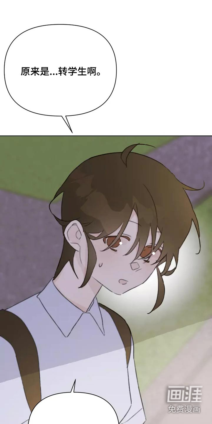 浪漫的青春 第38话 第13页