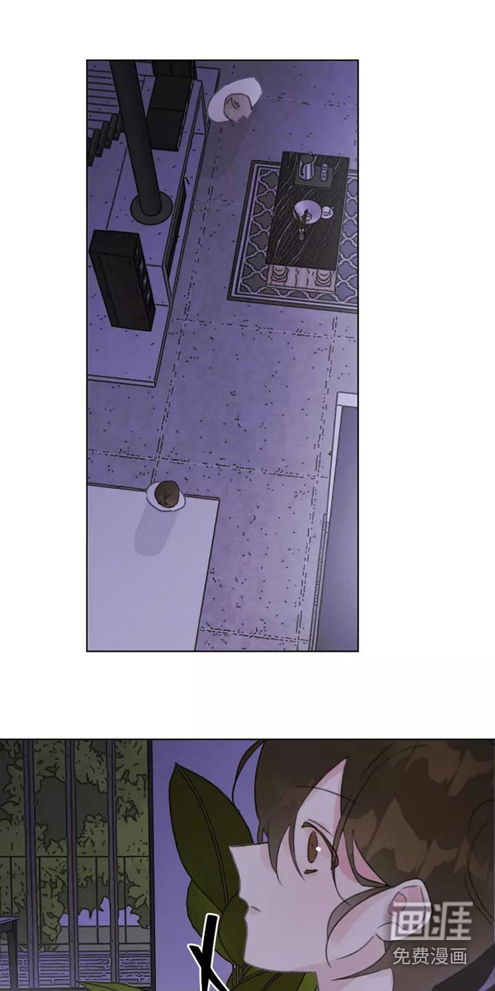 浪漫的青春 第41话 第5页