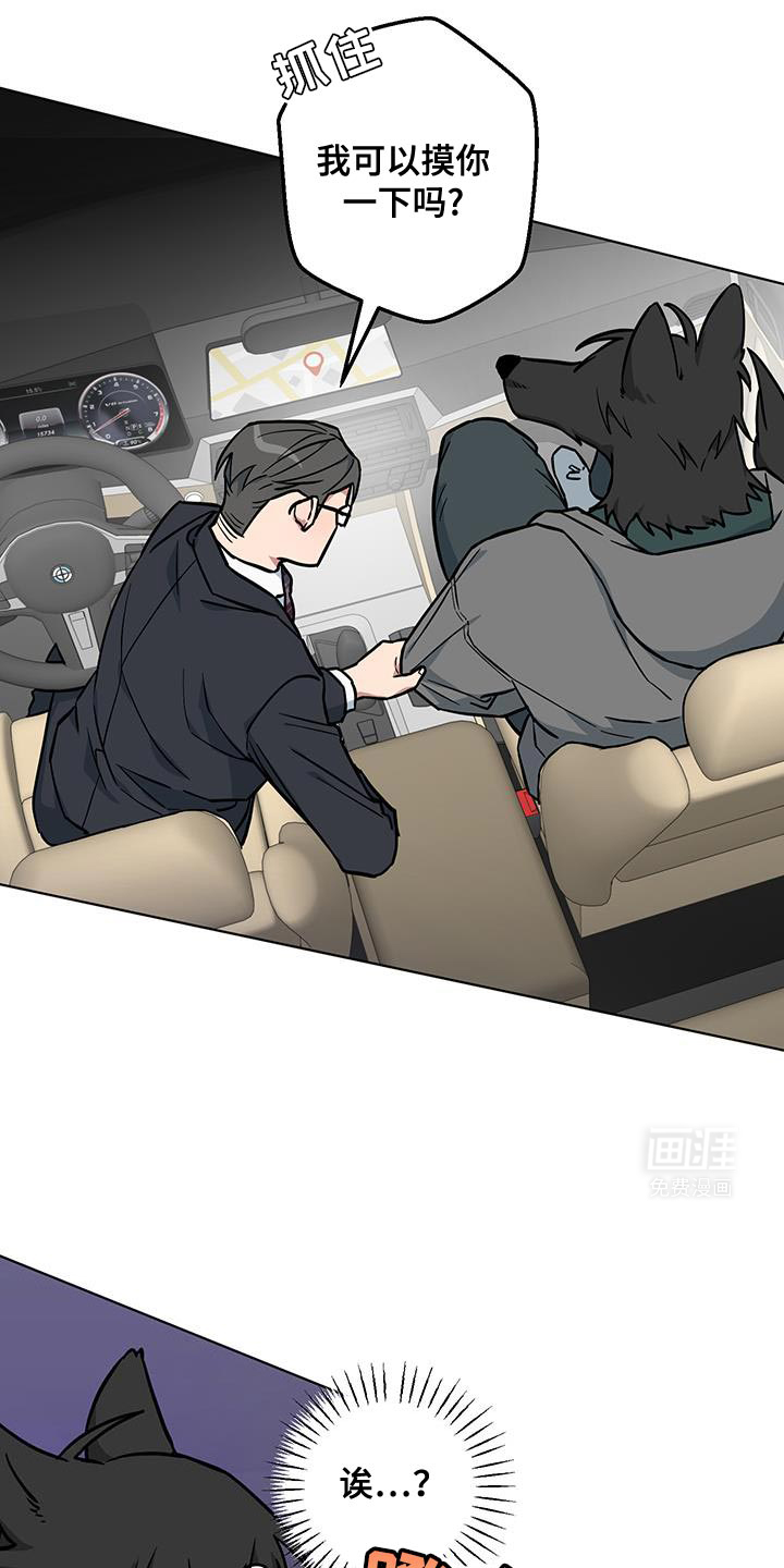 狼狼深藏不露第12话图