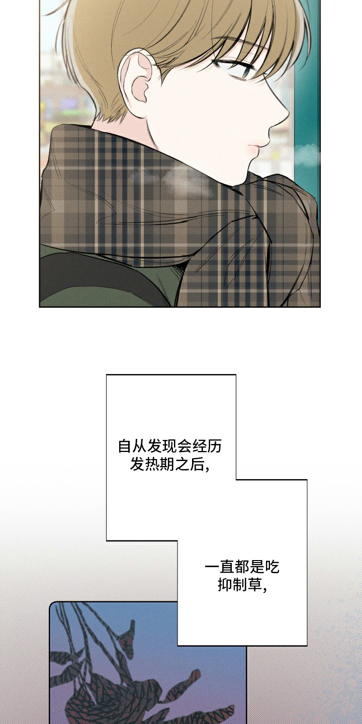 凛冬雪第24话图