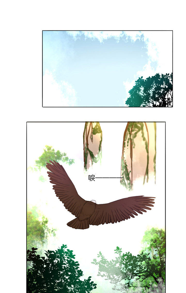 龙中对第14话图