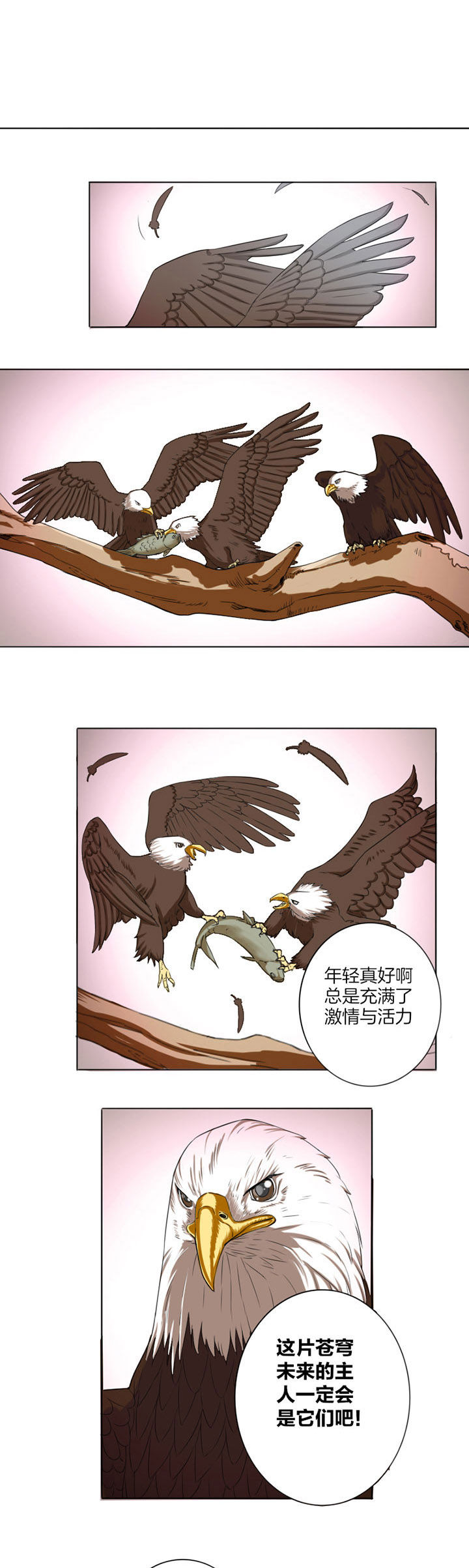 龙中对第16话图