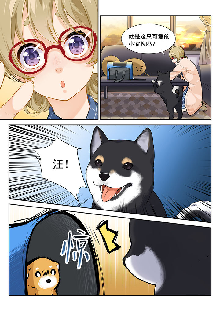 逻辑错误与恋爱真理第29话图