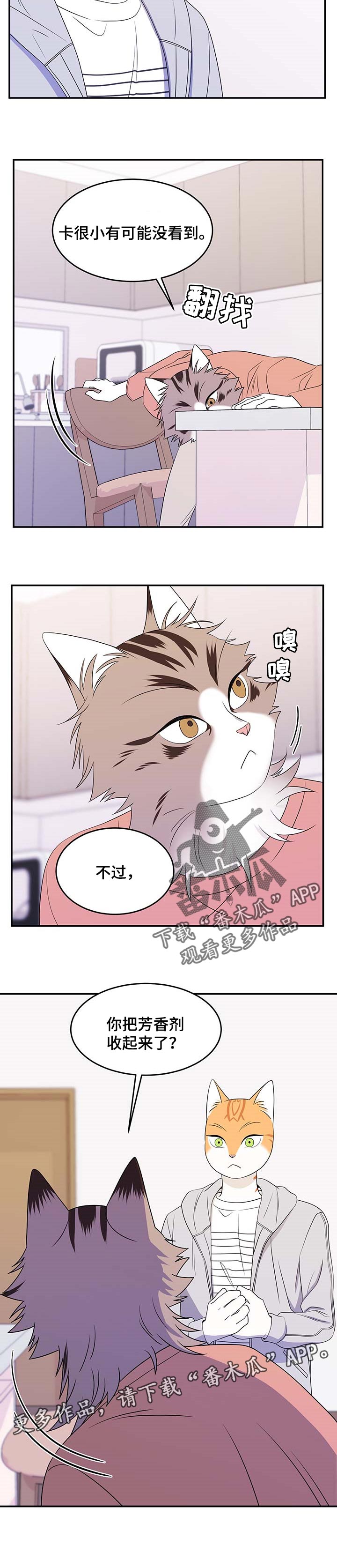 灵猫欧米伽第17话图