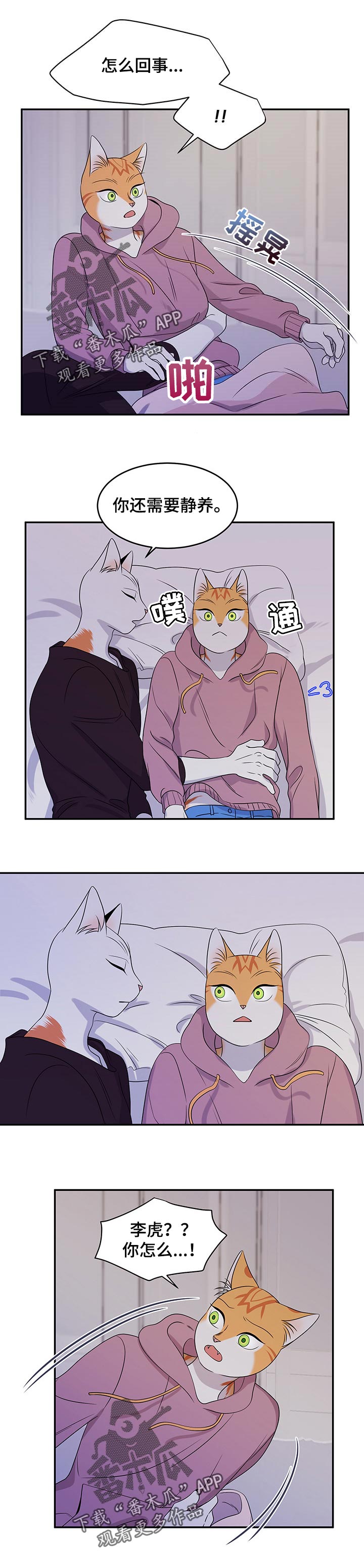 灵猫欧米伽第29话图