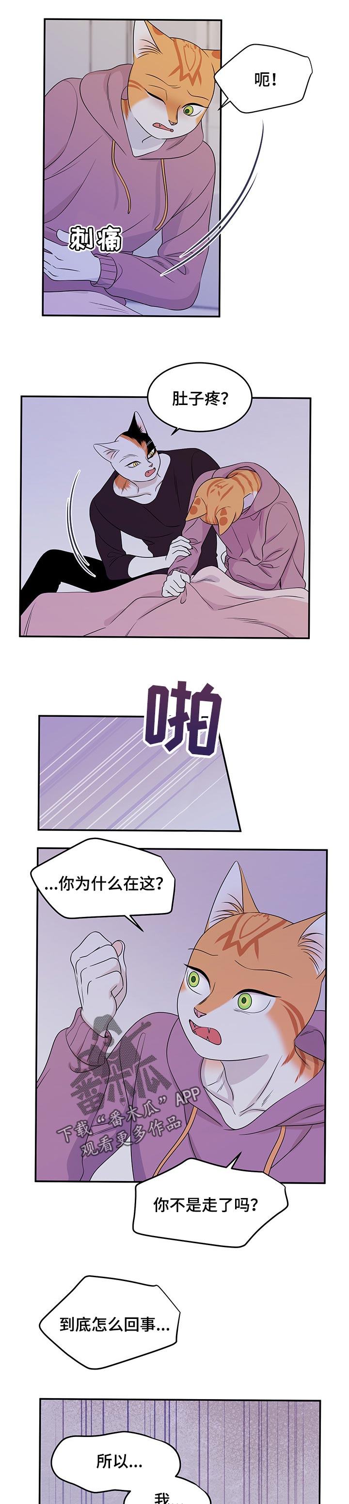 灵猫欧米伽第29话图