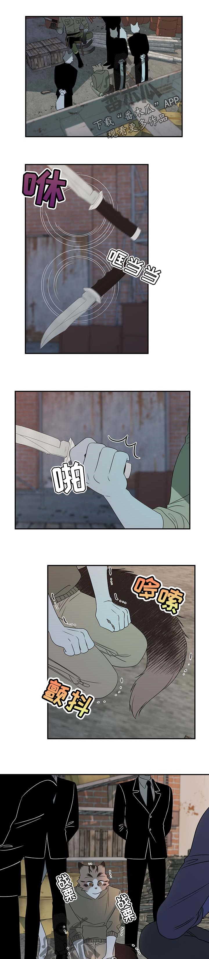 灵猫欧米伽第30话图