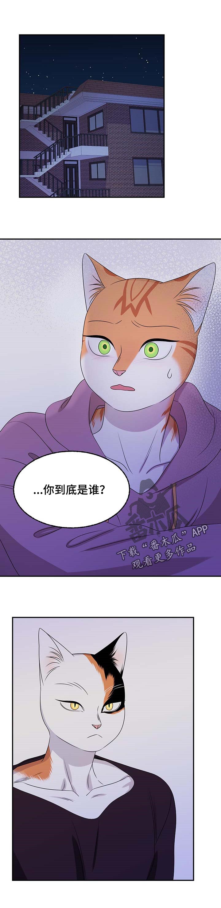 灵猫欧米伽第31话图