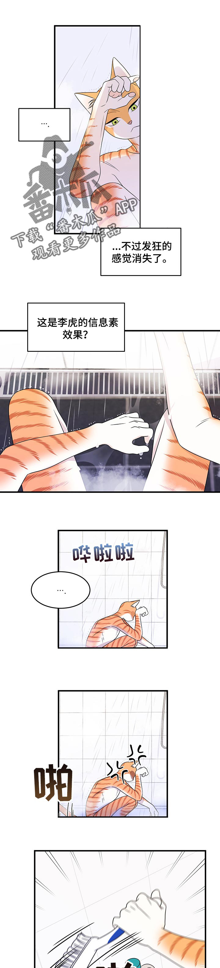 灵猫欧米伽第33话图