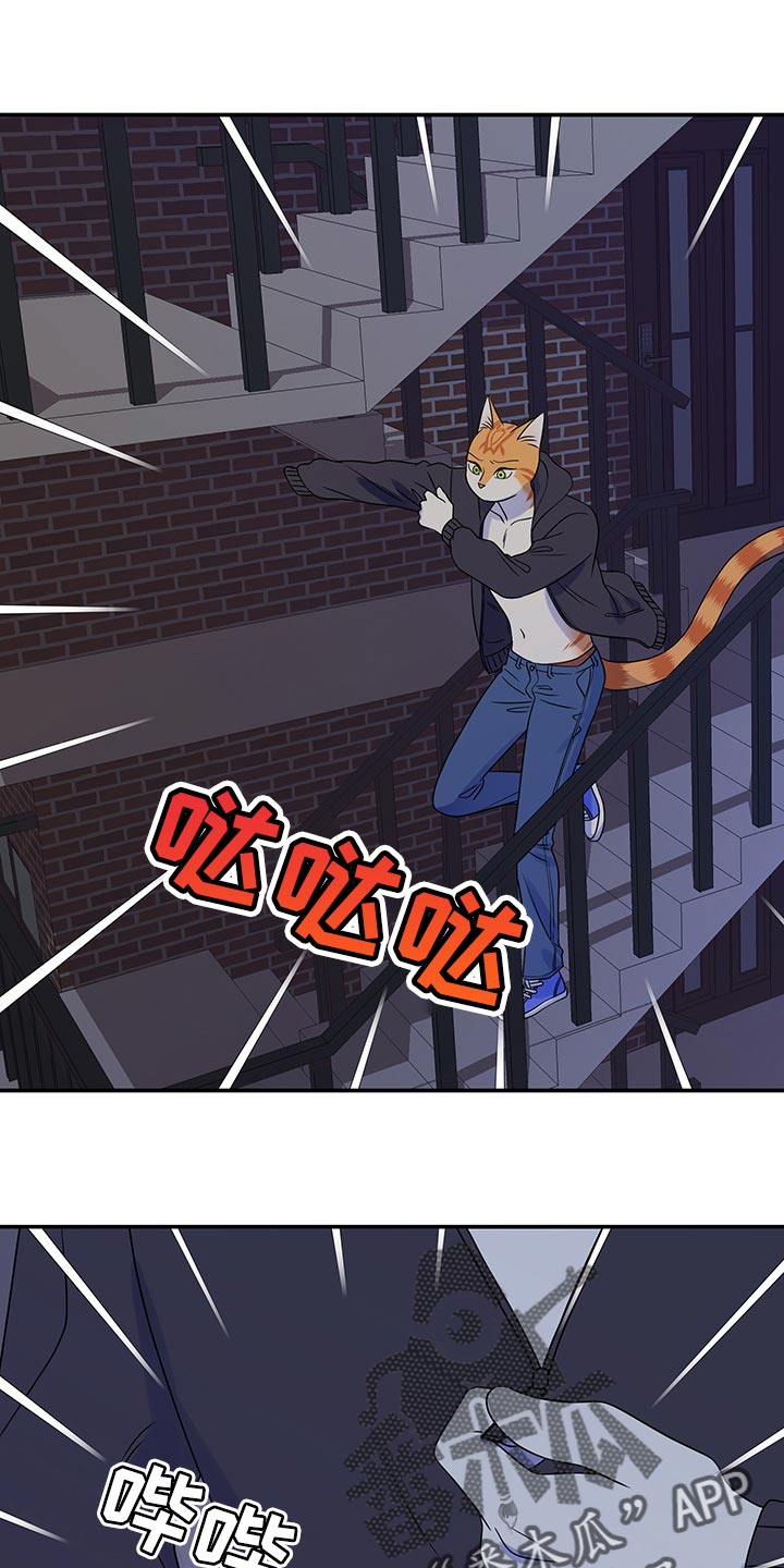 灵猫欧米伽第34话图