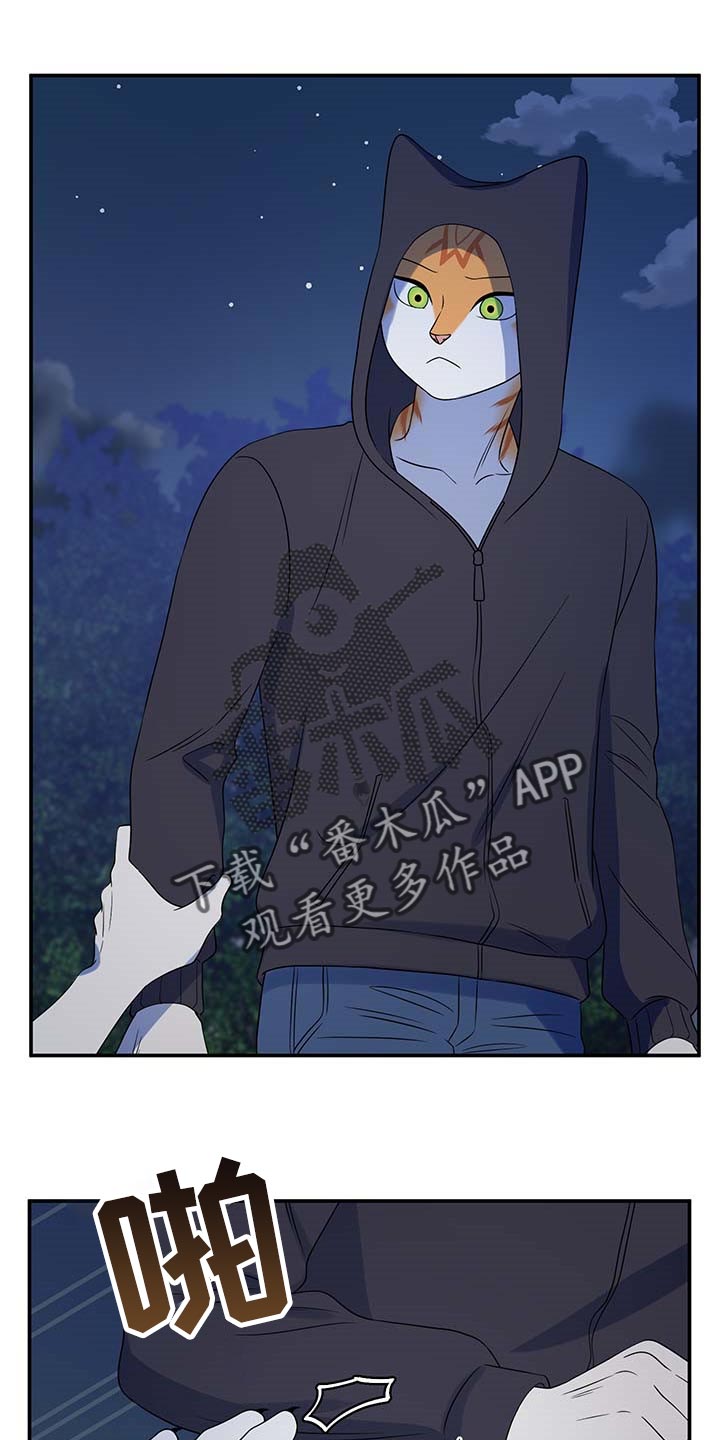 灵猫欧米伽第36话图