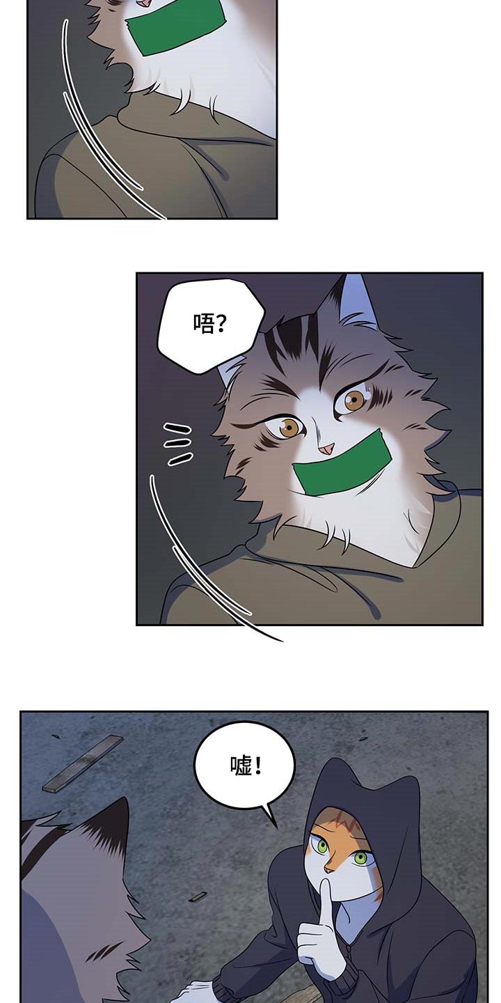 灵猫欧米伽第37话图