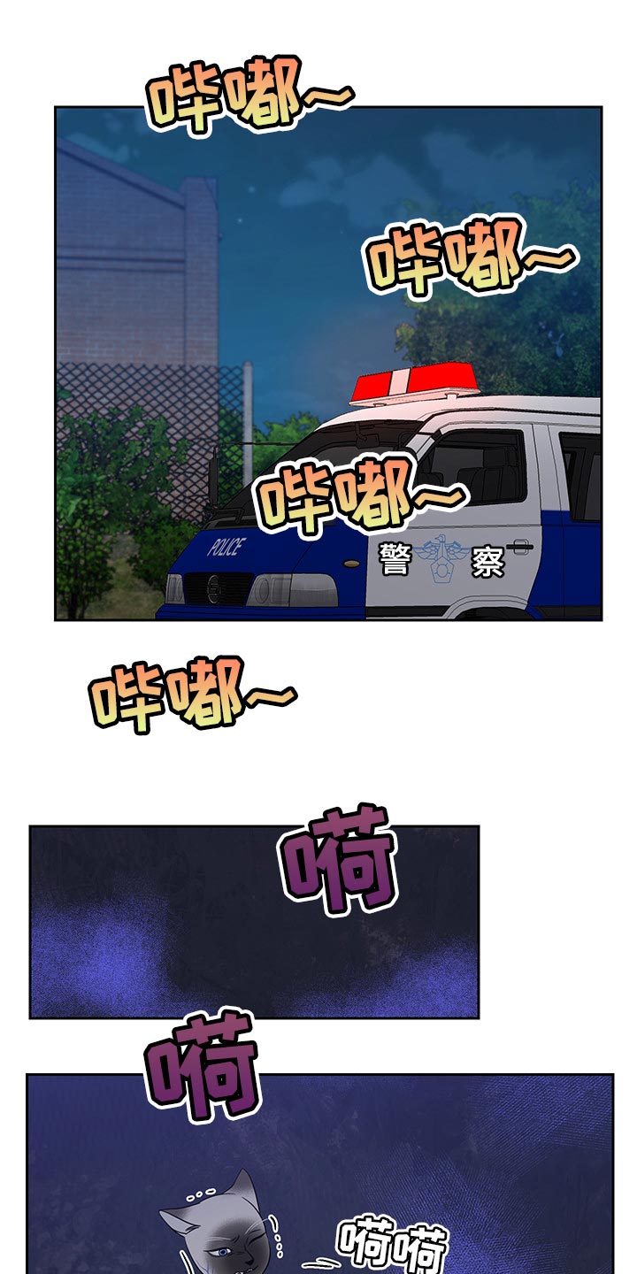 灵猫欧米伽第39话图