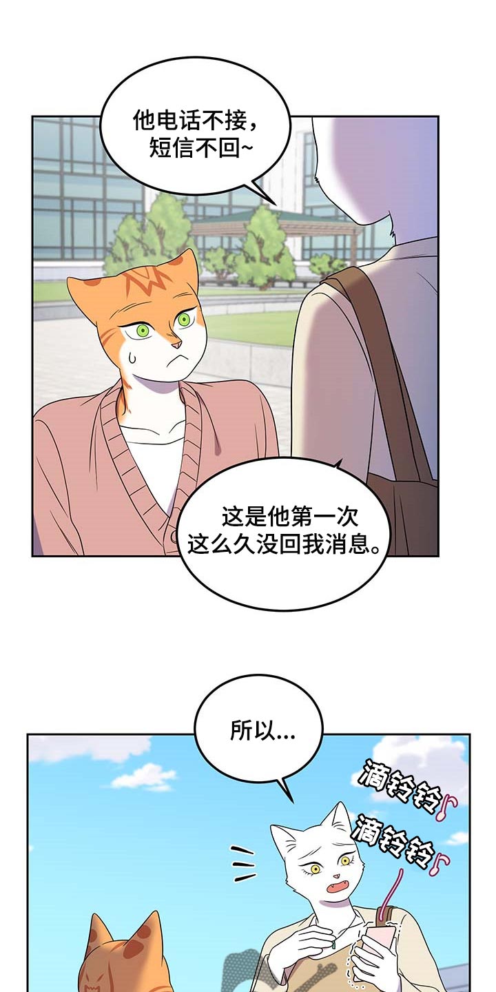 灵猫欧米伽第41话图