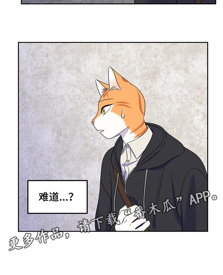 灵猫欧米伽第42话图