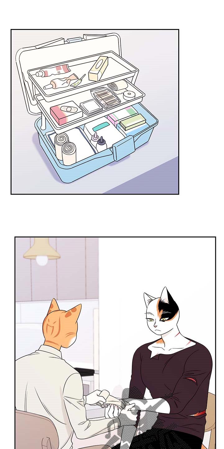 灵猫欧米伽第44话图