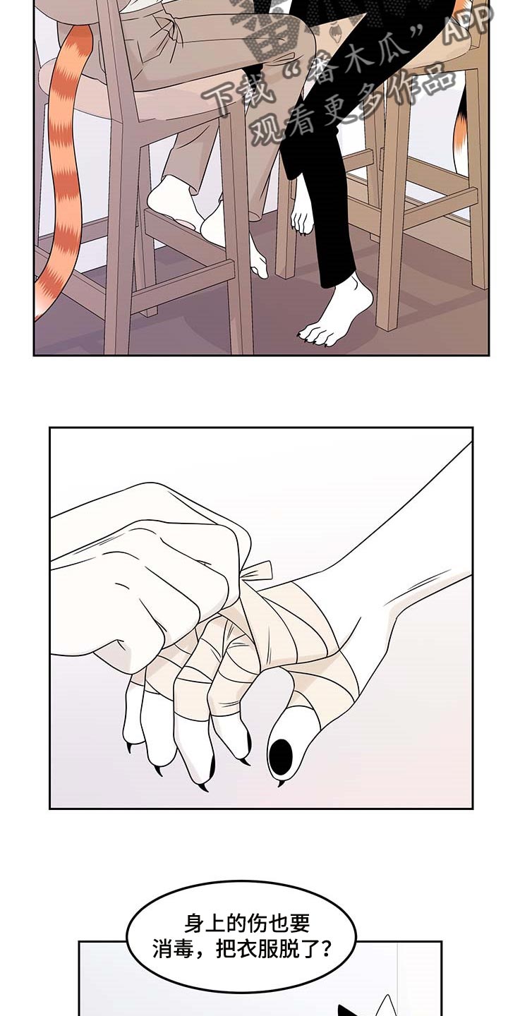 灵猫欧米伽第44话图