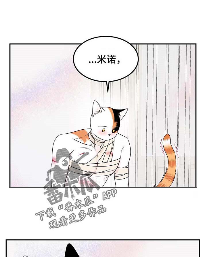 灵猫欧米伽第46话图