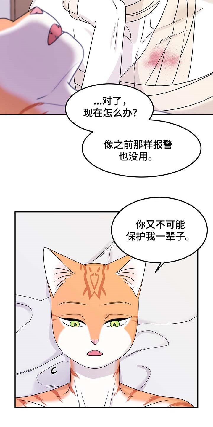 灵猫欧米伽第46话图