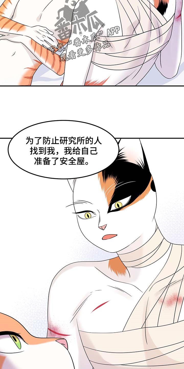 灵猫欧米伽第47话图