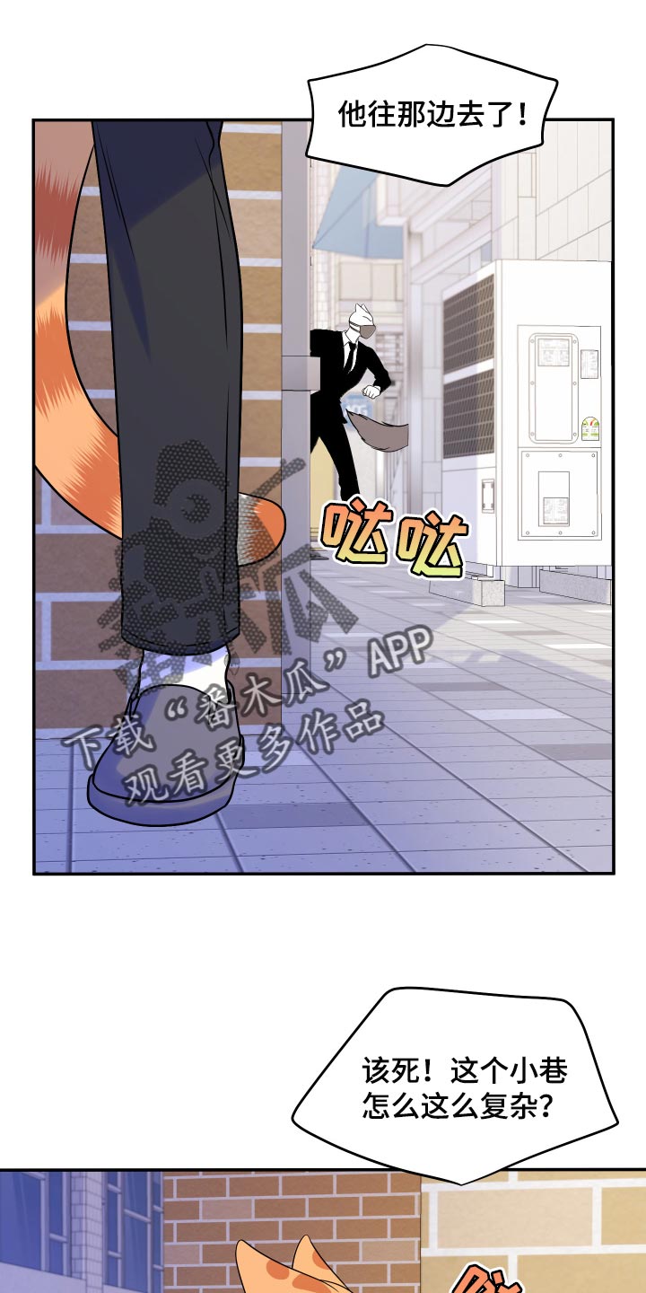 灵猫欧米伽第49话图