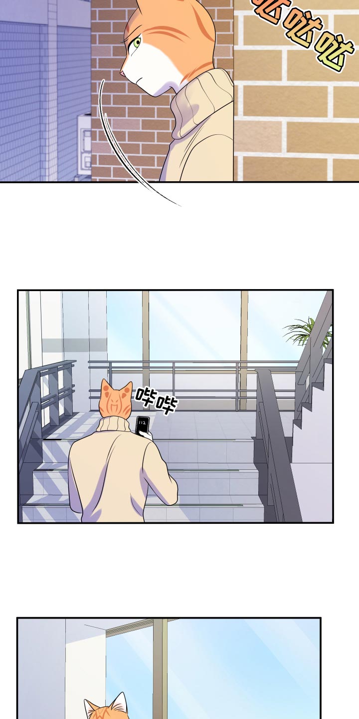 灵猫欧米伽第49话图