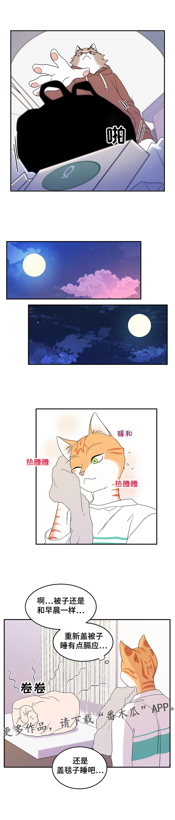 灵猫欧米伽第6话图