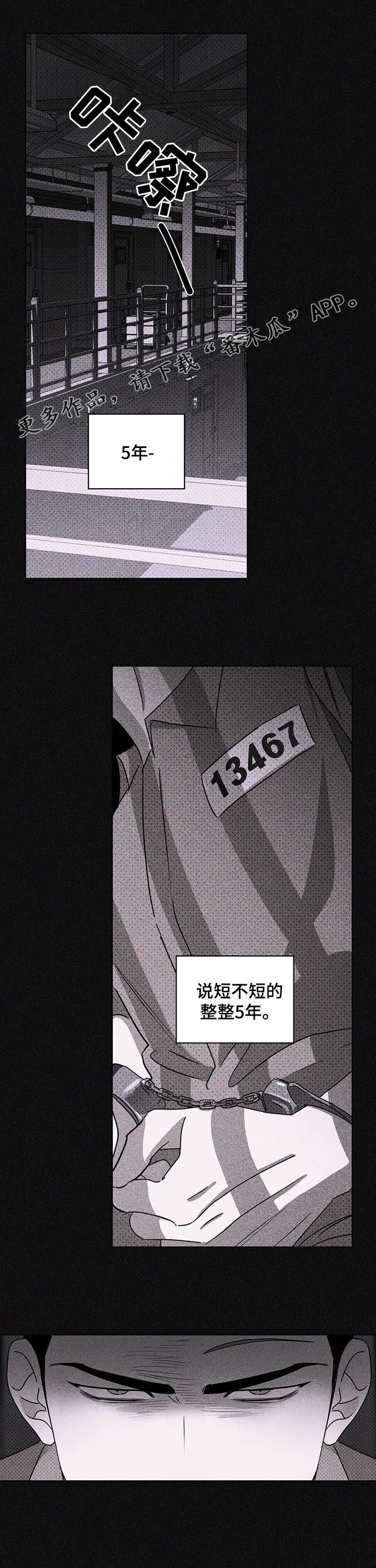 绿色纹理第28话图