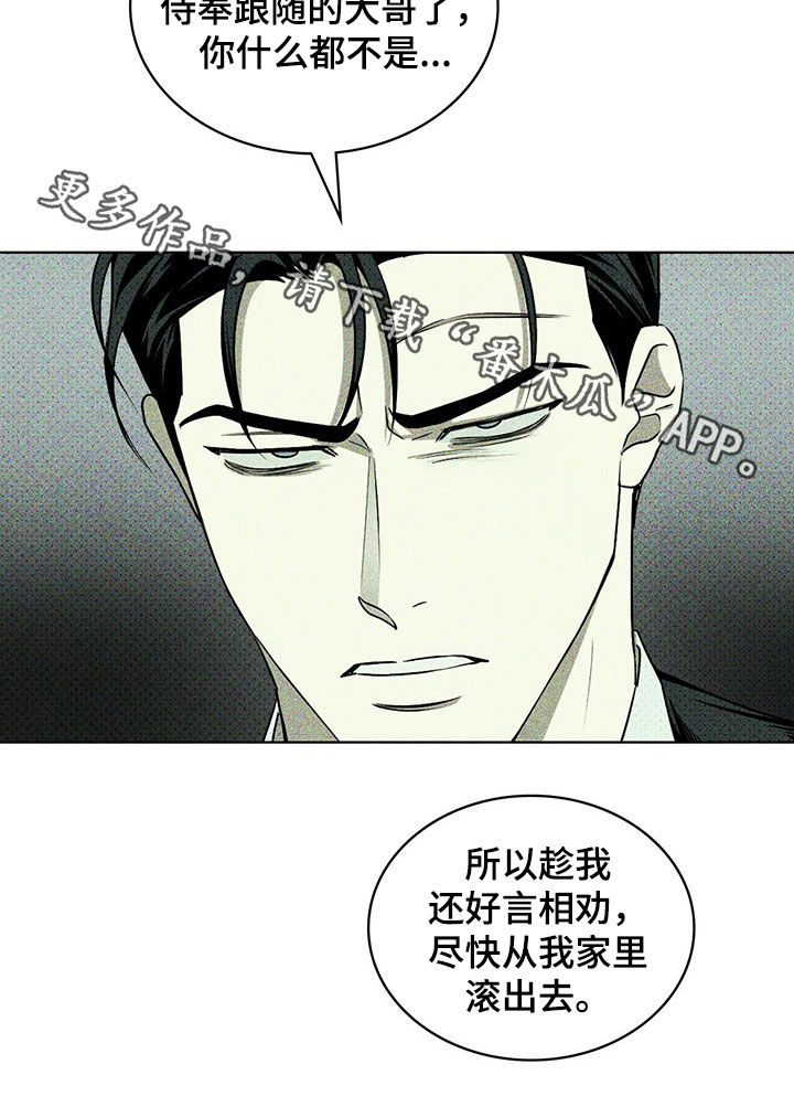 绿色纹理第43话图