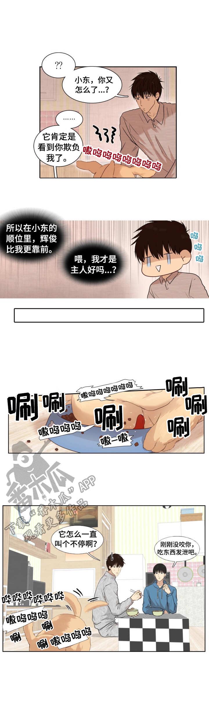 领养之恩第9话图