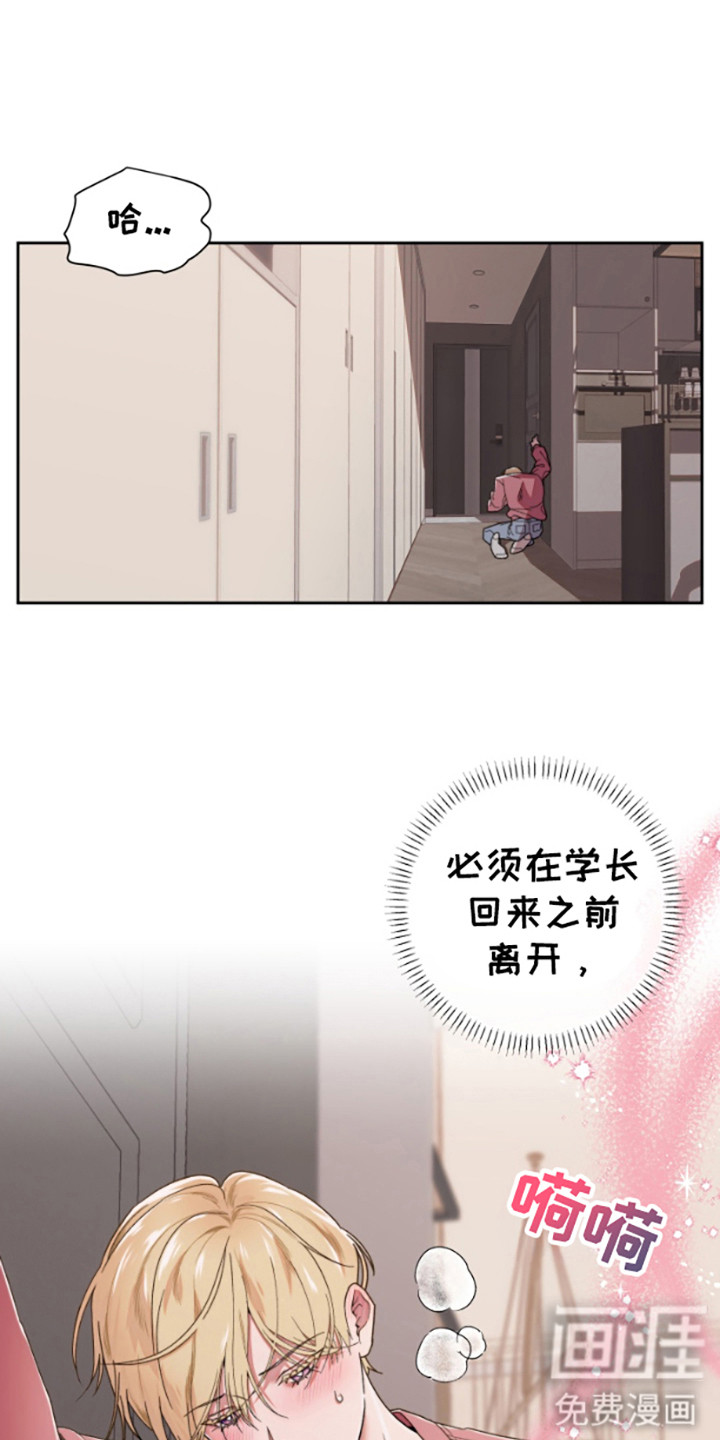 邻家王子第1话图