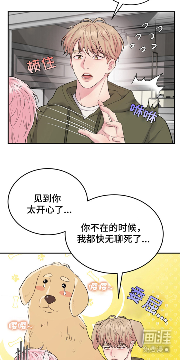 恋爱治愈剂第5话图