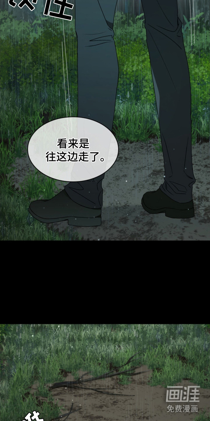 猎狐行动 第1话 第5页