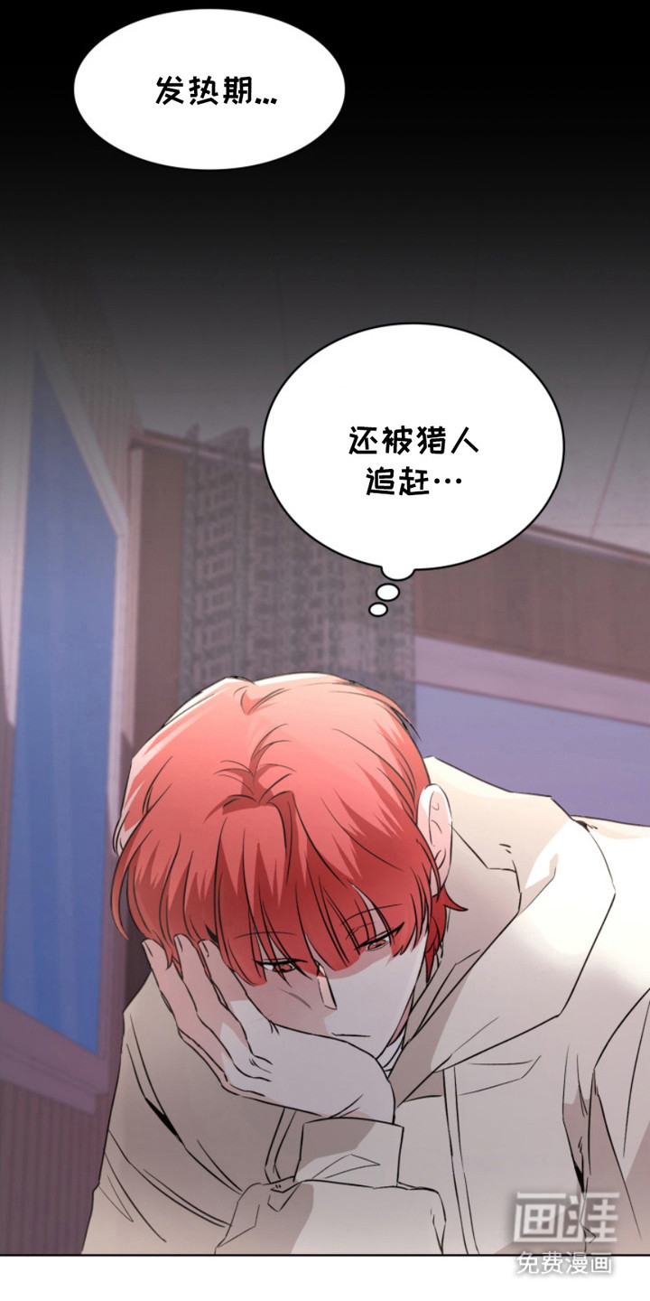 猎狐行动 第10话 第12页