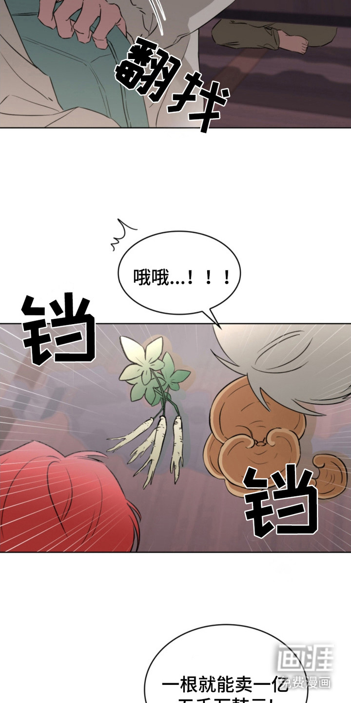 猎狐行动 第10话 第14页