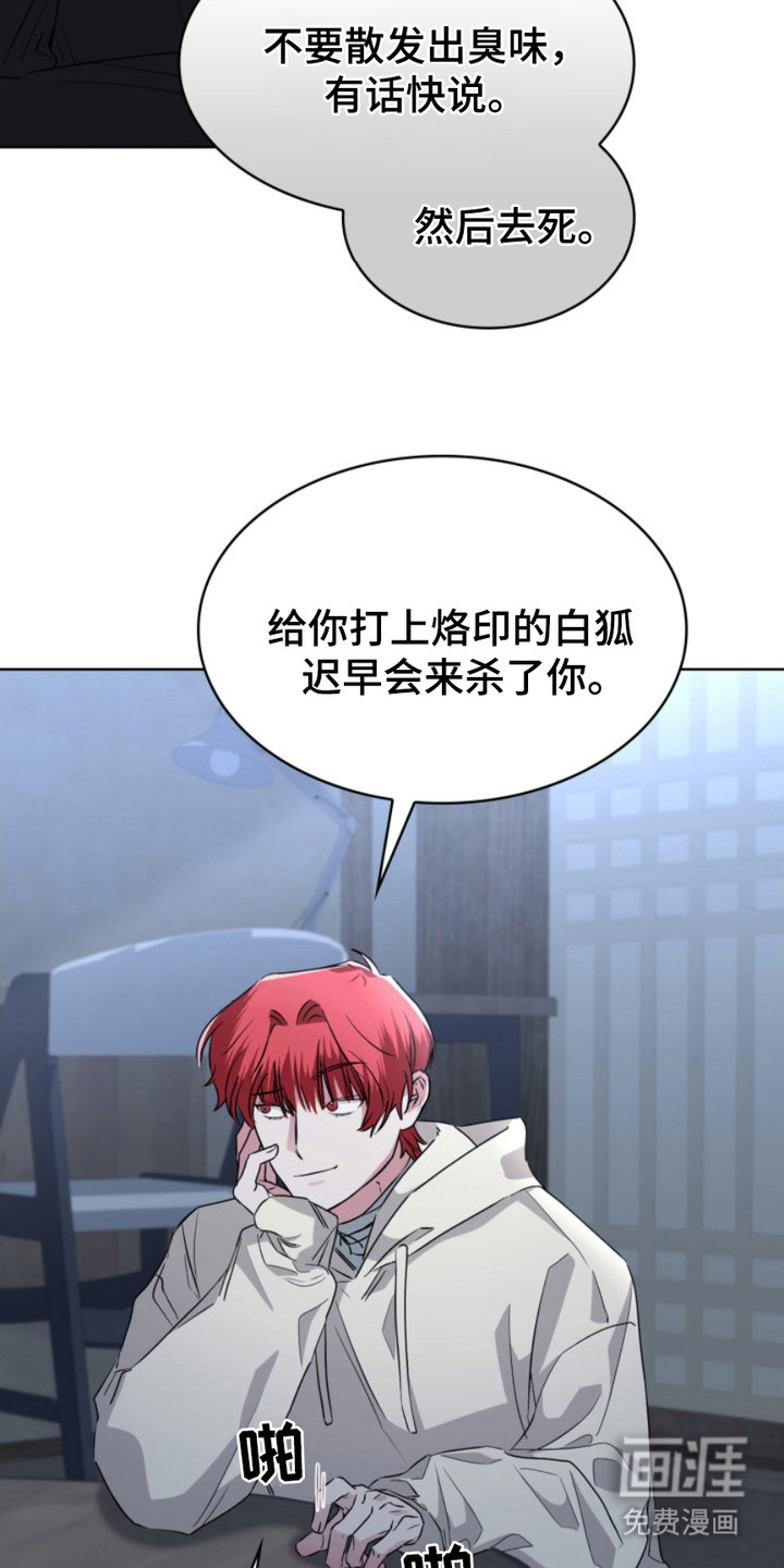 猎狐行动 第11话 第15页