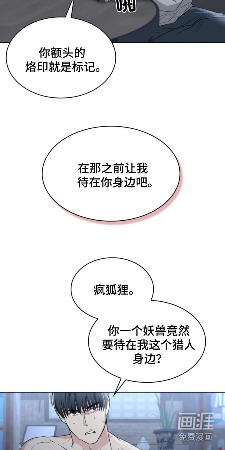 猎狐行动 第11话 第16页