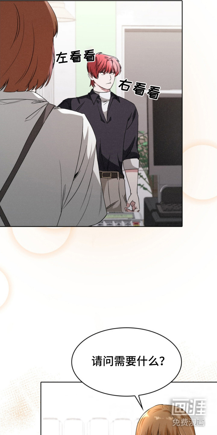 猎狐行动 第20话 第13页