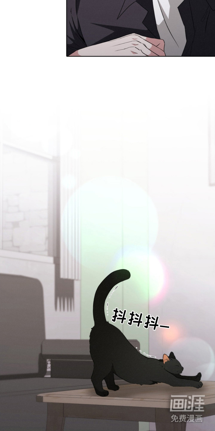 猎狐行动 第20话 第22页