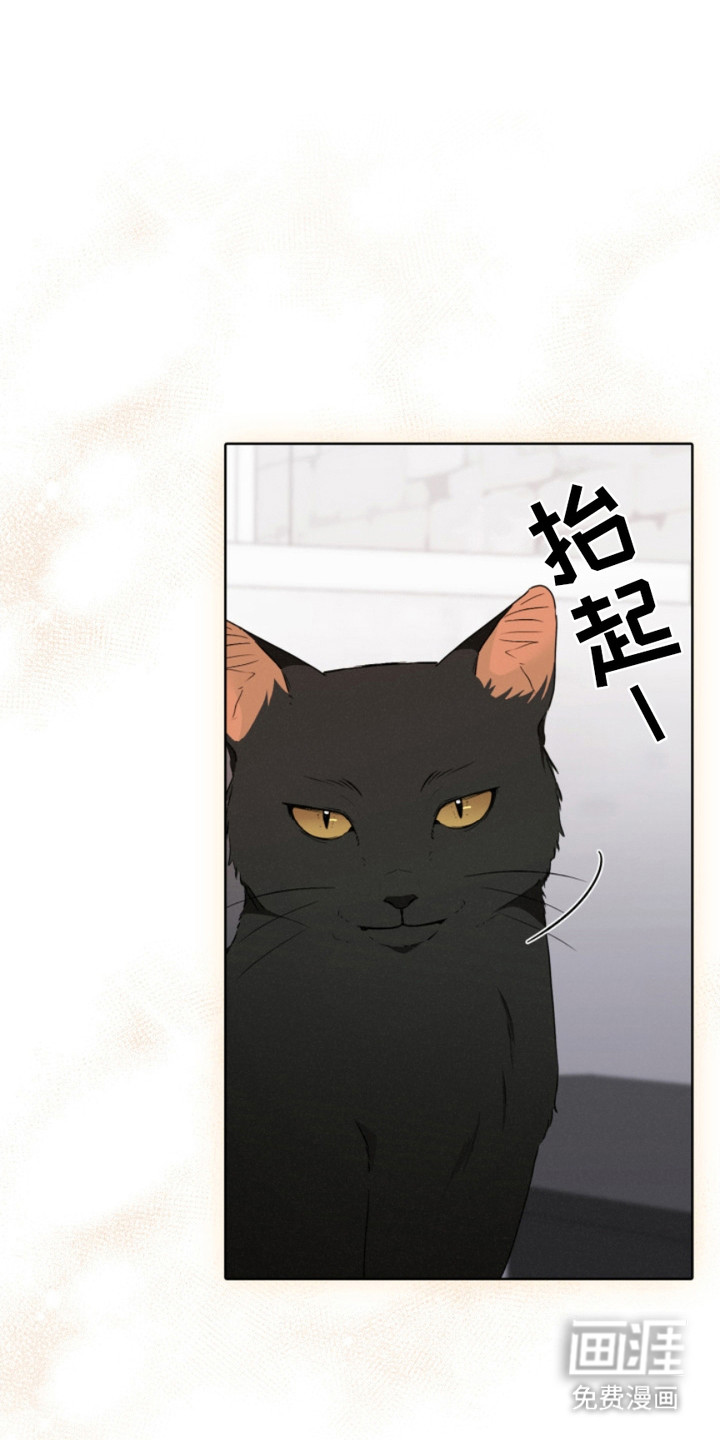 猎狐行动 第21话 第0页