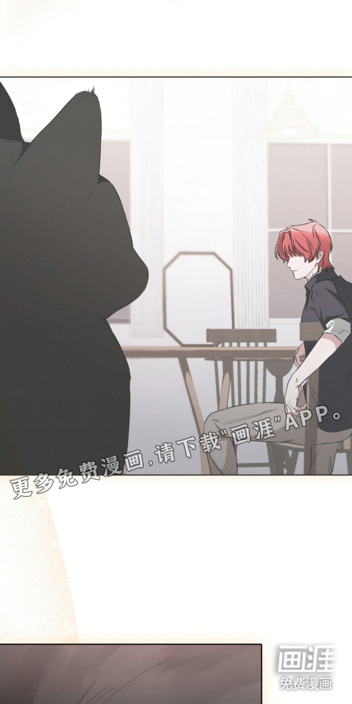 猎狐行动 第21话 第1页