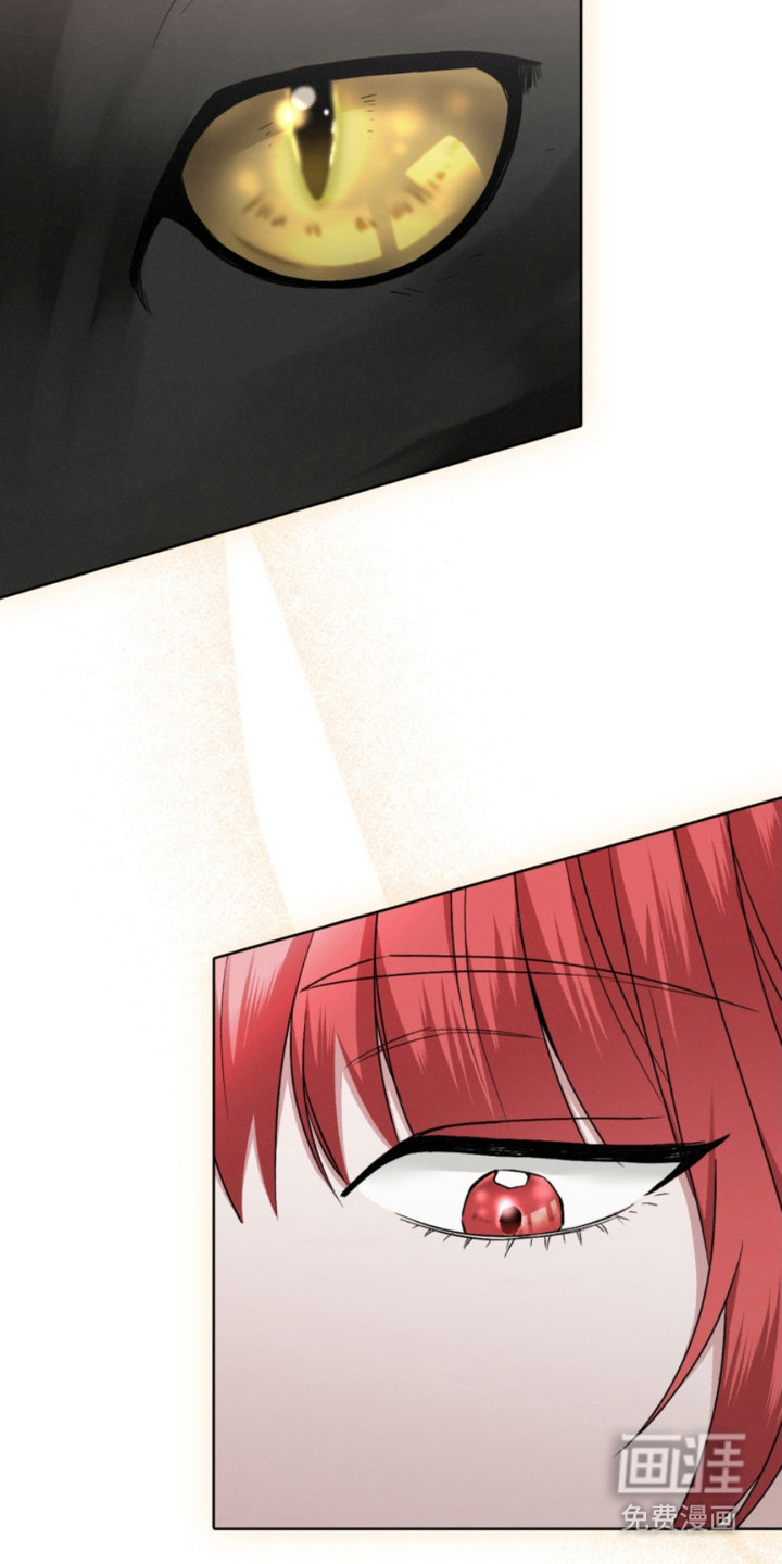 猎狐行动 第21话 第2页