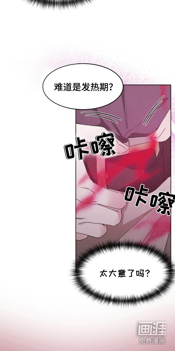 猎狐行动 第21话 第13页